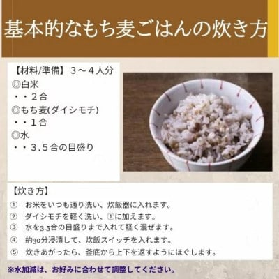 岡山県玉野市産 もち麦 ダイシモチ 950g×5袋