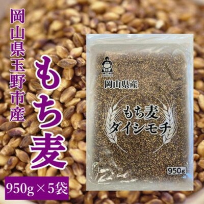 2023年5月発送開始『定期便』岡山県玉野市産 もち麦 ダイシモチ 950g×5袋全6回