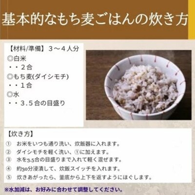 2023年5月発送開始『定期便』岡山県玉野市産 もち麦 ダイシモチ 950g×5袋全6回