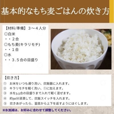 2023年4月発送開始『定期便』岡山県玉野市産 もち麦 キラリモチ 950g×5袋全6回