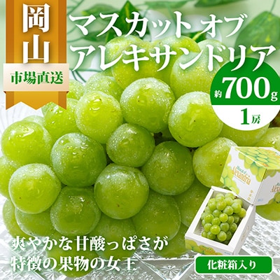 岡山県産　マスカットオブアレキサンドリア1房(700g以上・秀品以上)化粧箱入り