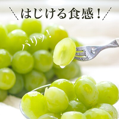 岡山県産　マスカットオブアレキサンドリア1房(700g以上・秀品以上)化粧箱入り
