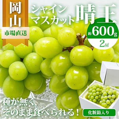 岡山県産　シャインマスカット『晴王』2房(1房600g以上) 化粧箱入り
