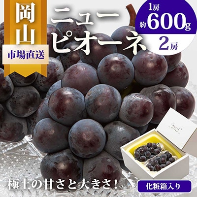 岡山県産　ニューピオーネ2房　(1房600g以上)　化粧箱入り