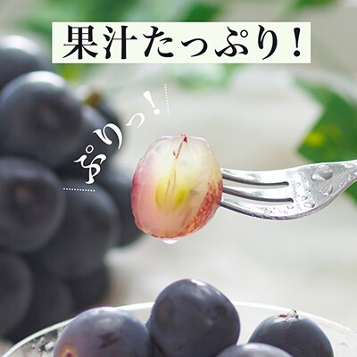 岡山県産　ニューピオーネ2房　(1房600g以上)　化粧箱入り