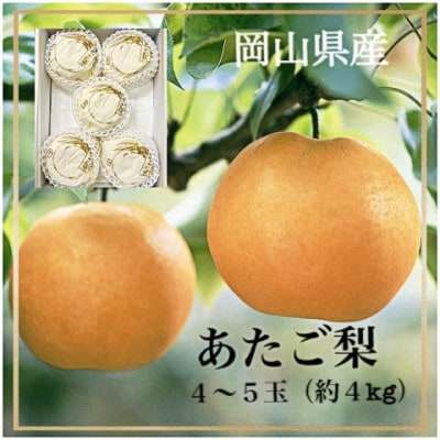 岡山県産　あたご梨 4～5玉 (約4kg) 化粧箱入り