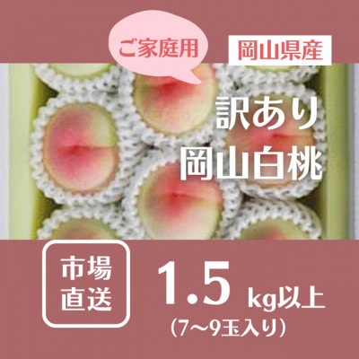 【2027年発送】ご家庭用 訳あり 岡山県産岡山白桃7-9玉(計1.5kg以上)