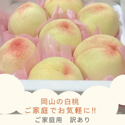 【2027年発送】ご家庭用 訳あり 岡山県産岡山白桃7-9玉(計1.5kg以上)