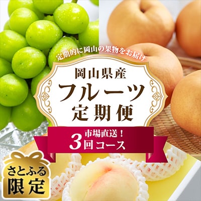 【発送月固定定期便】【さとふる限定】岡山県産 フルーツ定期便全3回