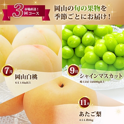 【発送月固定定期便】【さとふる限定】岡山県産 フルーツ定期便全3回