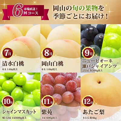 【発送月固定定期便】岡山県産 フルーツ定期便全6回