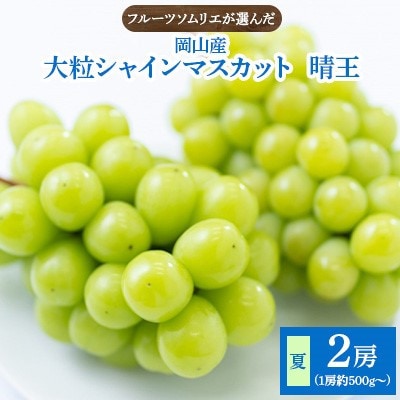 【先行予約　2025年7月下旬より順次発送】岡山産シャインマスカット2房【夏・晴王】