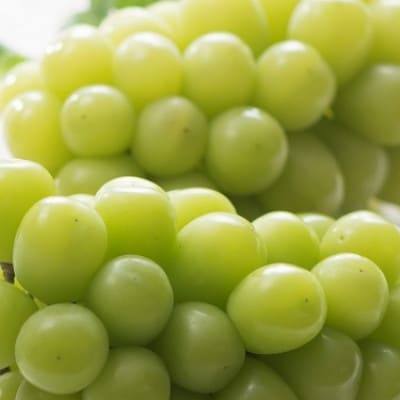【先行予約　2025年7月下旬より順次発送】岡山産シャインマスカット2房【夏・晴王】