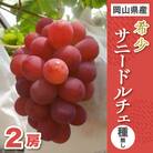 希少!サニードルチェ2房入り
