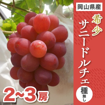 希少!サニードルチェ2～3房入り