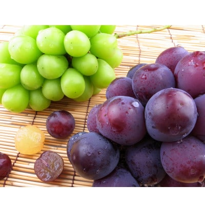 新鮮・朝採り後即出荷!　岡山県　吉備高原産シャインマスカット2kg(3～4房入り)