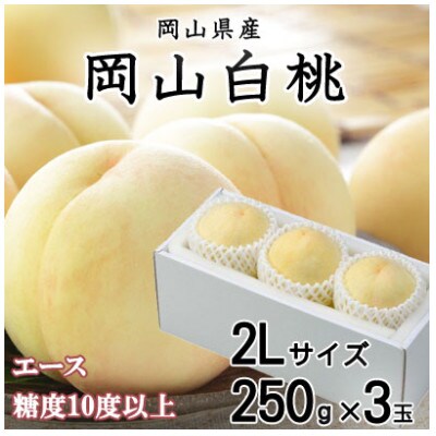 岡山白桃 エース 3玉×250g(2Lサイズ) 岡山県産