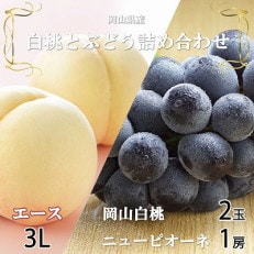 岡山県産 岡山白桃エース3Lサイズ300g&times;2玉・ニューピオーネ600g&times;1房 詰合せ