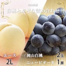 岡山県産 岡山白桃エース2Lサイズ250g&times;2玉・ニューピオーネ500g&times;1房 詰合せ