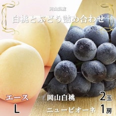 岡山県産 岡山白桃エースLサイズ200g&times;2玉・ニューピオーネ400g&times;1房 詰合せ