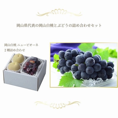 岡山県産 岡山白桃エースLサイズ200g×2玉・ニューピオーネ400g×1房 詰合せ