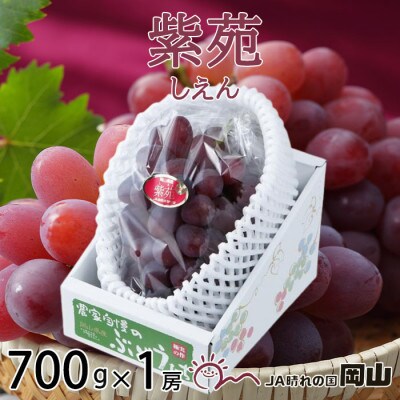 岡山県産　紫苑　700g×1房