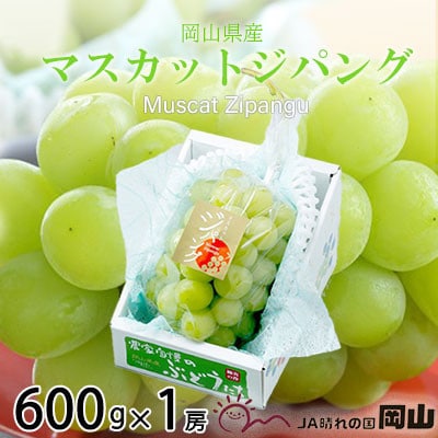岡山県産　マスカットジパング　600g×1房
