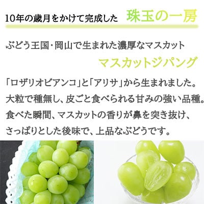 岡山県産　マスカットジパング　600g×1房