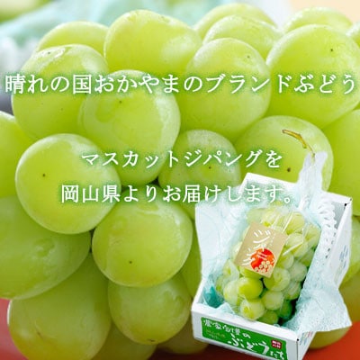 岡山県産　マスカットジパング　600g×1房