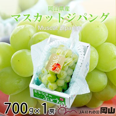岡山県産　マスカットジパング　700g×1房