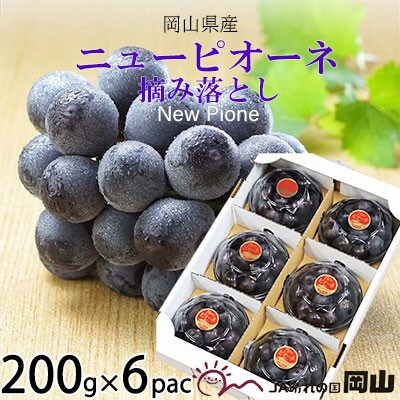 岡山県産　ニューピオーネ　摘み落とし　200g×6パック