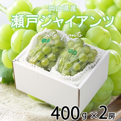 岡山県産 瀬戸ジャイアンツ 400g×2房