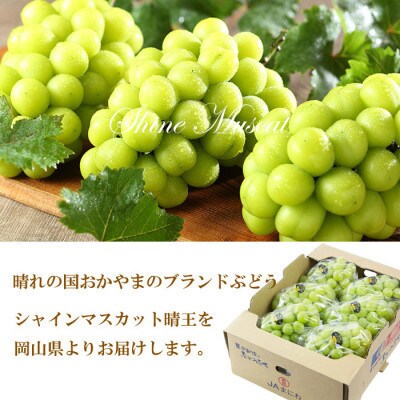 【2025年7月発送】岡山県産　シャインマスカット　晴王　4kg(5房～10房)