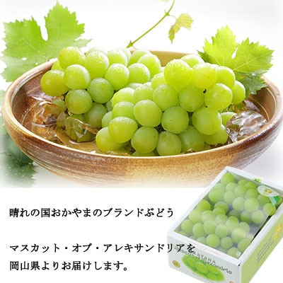 【2025年9月発送】岡山県産　マスカット・オブ・アレキサンドリア　400g×2房