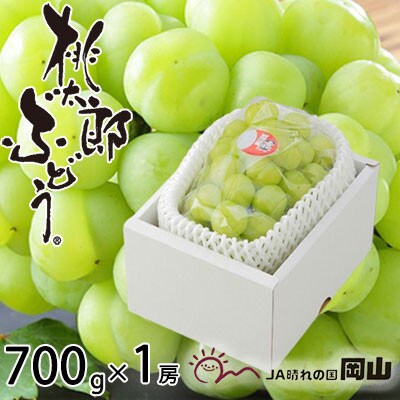 岡山県産 桃太郎ぶどう 700g×1房