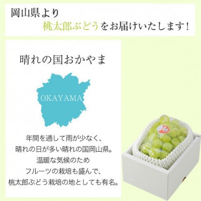 岡山県産 桃太郎ぶどう 700g×1房