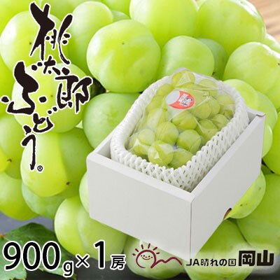 岡山県産 桃太郎ぶどう 900g×1房