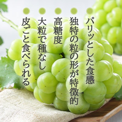 岡山県産 桃太郎ぶどう 900g×1房