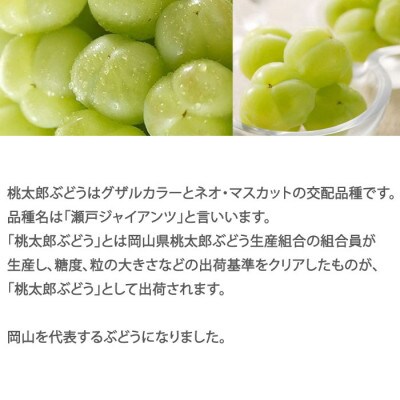 岡山県産 桃太郎ぶどう 500g×2房