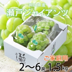 ご家庭用 岡山県産 瀬戸ジャイアンツ 1.5kg(2房～6房)