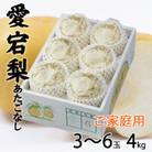ご家庭用 岡山県産 あたご梨 3～6玉 4kg