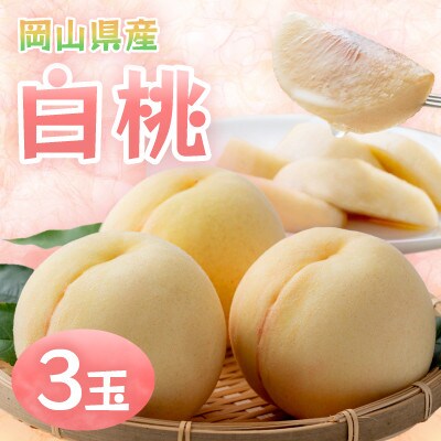 岡山県産　白桃　3玉(クール便)