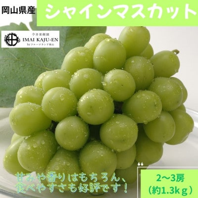 【2026年発送】岡山県産　シャインマスカット約1.3kg(2～3房)(クール便)
