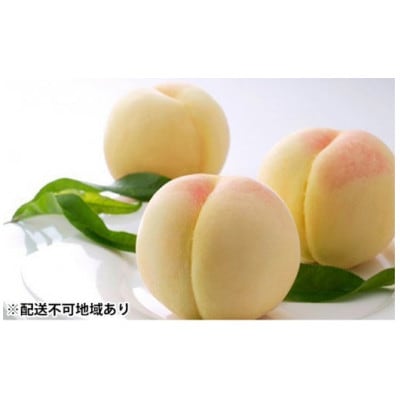 岡山の白桃(早生種)大玉3玉