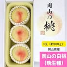 【2026年発送】岡山の白桃(晩生種)大玉3玉