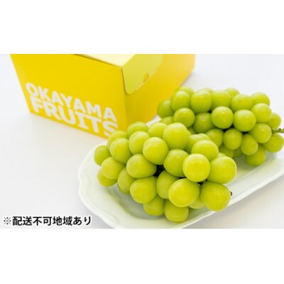ご家庭用　岡山県産シャインマスカット(クール便)約1.2kg