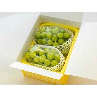 ご家庭用　岡山県産シャインマスカット(クール便)約1.2kg
