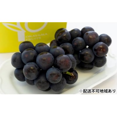 ご家庭用　岡山県産オーロラブラック(クール便)約1.2kg