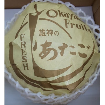 あたご梨　2玉