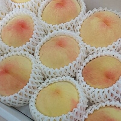 岡山県産　白桃　6個入り